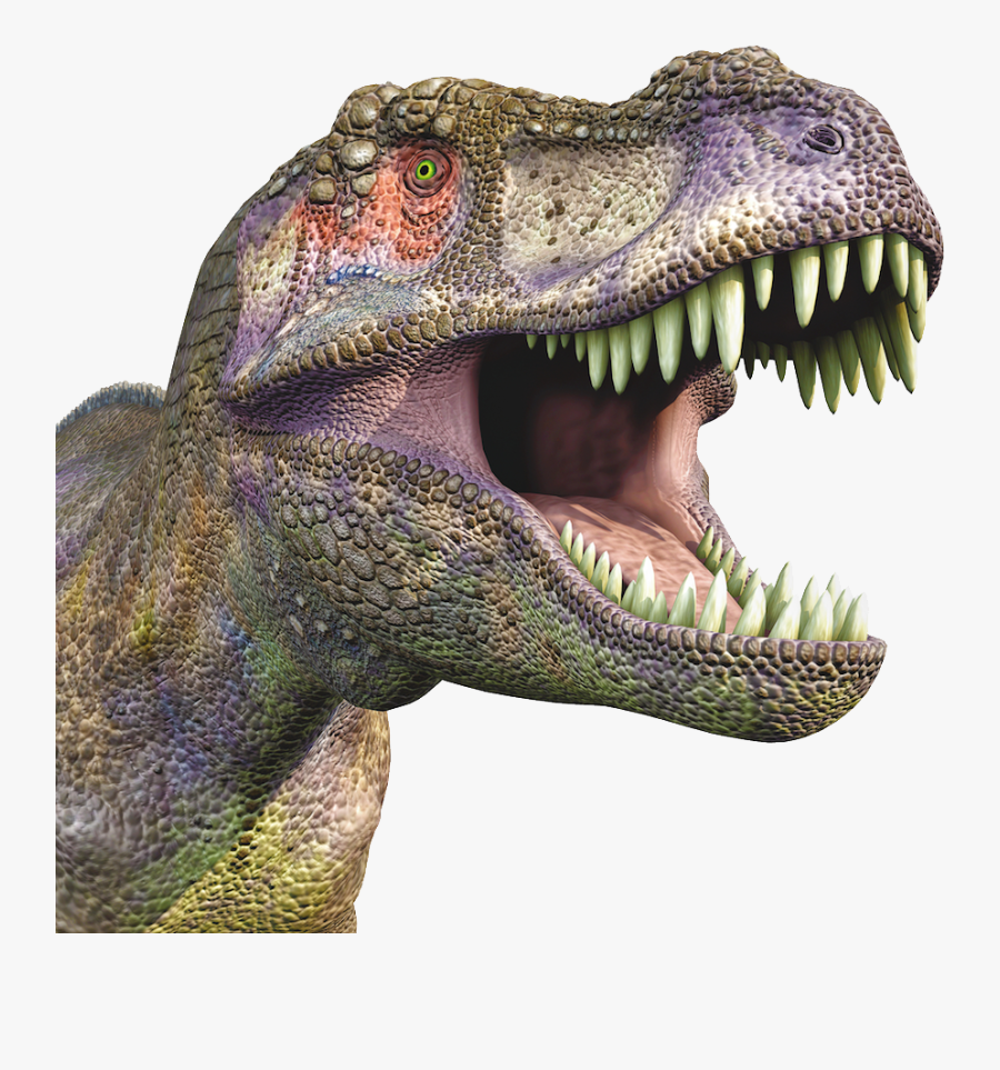 dinosaur with white cap on head