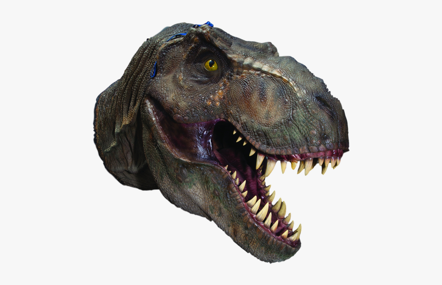 gold t rex head