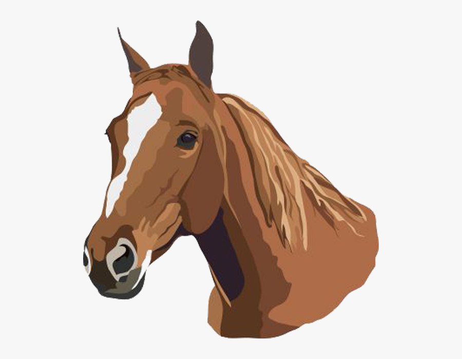 Horse Studying - Clip Art Horses Head, Transparent Clipart