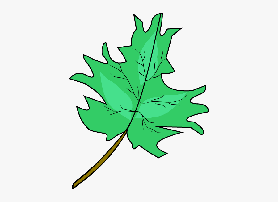 How To Draw Maple Leaf - Maple Leaf, Transparent Clipart