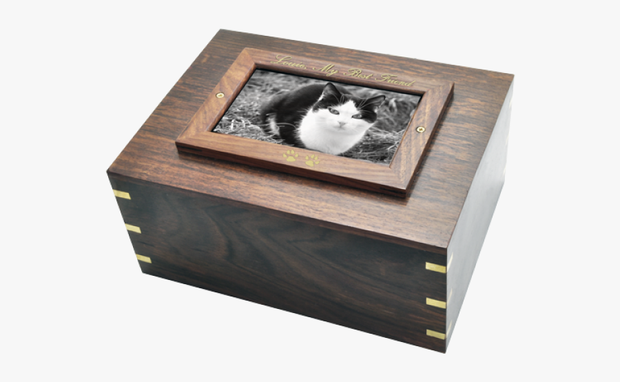 Cat Urn Picture Frame, Transparent Clipart