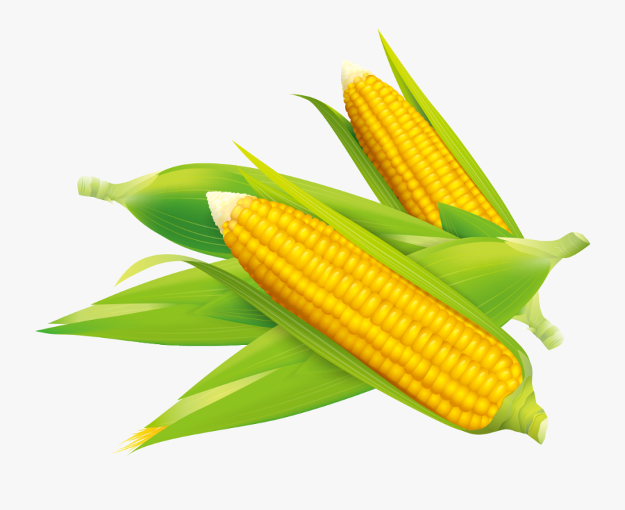 Corn Vector Flake - Sweet Corn Vector Png, Transparent Clipart