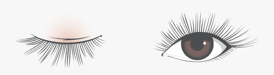 Eyelash Extensions, Transparent Clipart