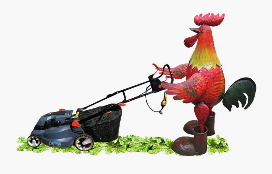 Rooster, Mowing, Grass, Garden - Bird Mowing The Lawn, Transparent Clipart