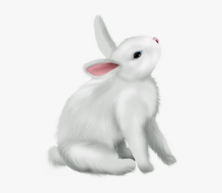 Transparent Rabbits Png - Bunny Rabbit Png, Transparent Clipart