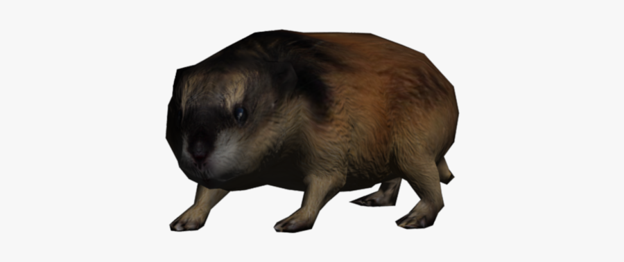 Guinea Pig, Transparent Clipart