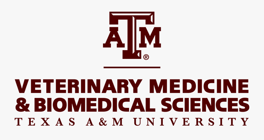 Texasam Vet School - Texas A&m Veterinary Logo , Free Transparent ...