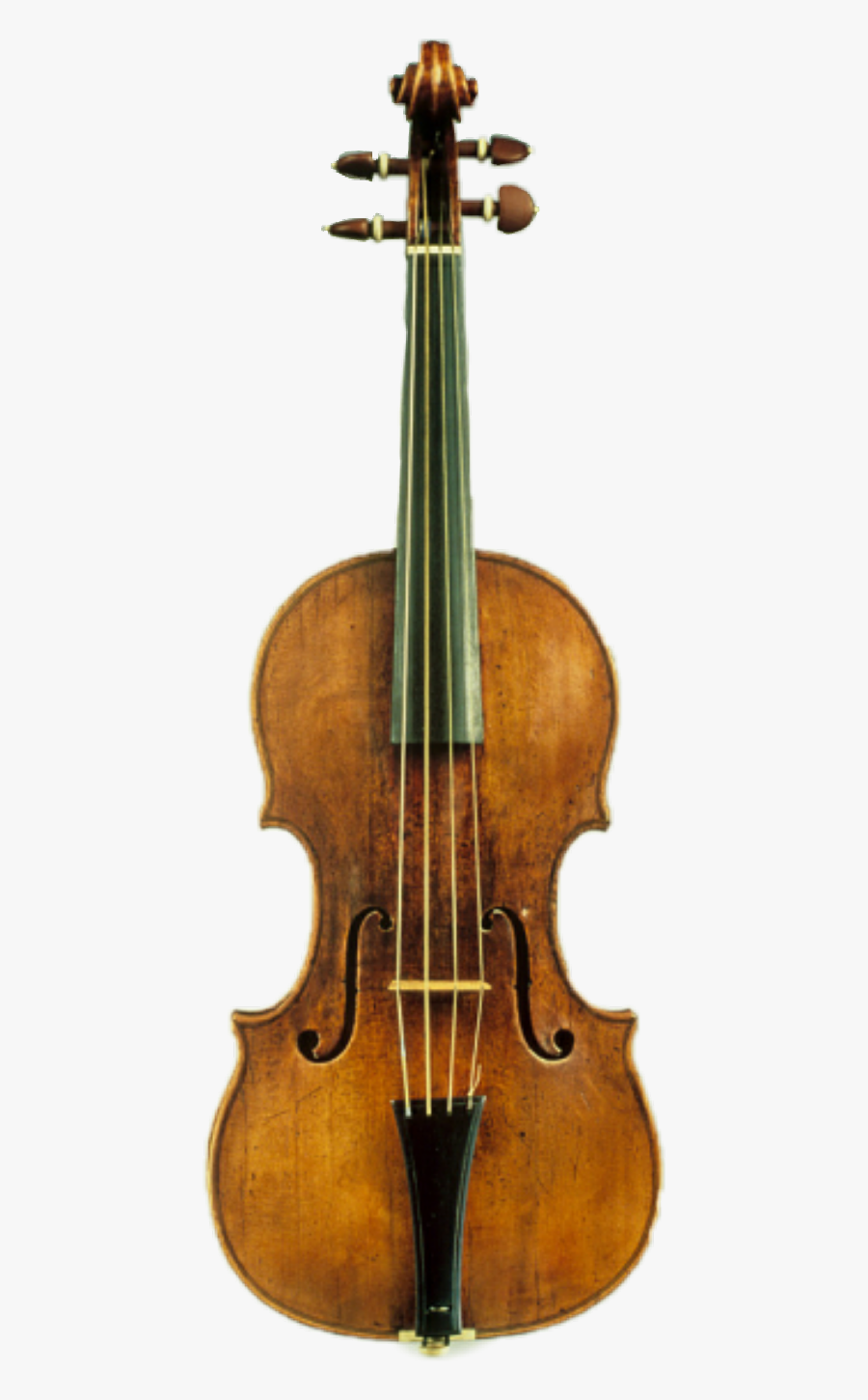 Library Of Congress Violin, Transparent Clipart