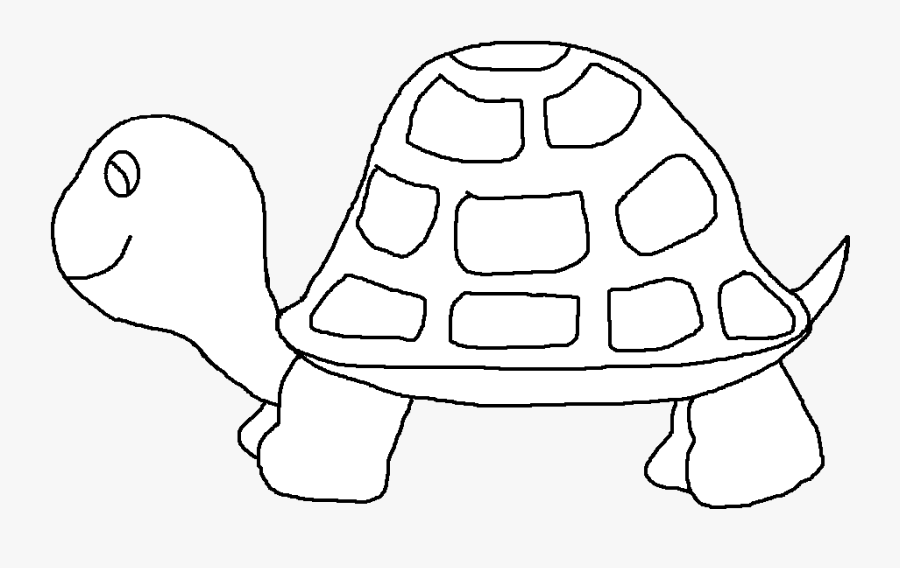 Galápagos Tortoise, Transparent Clipart