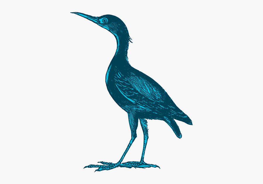 Heron Narrowsburg Ny, Transparent Clipart