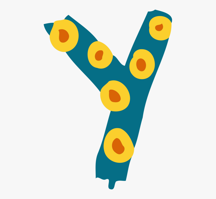 Area,beak,yellow - Clip Art For Letter Y, Transparent Clipart