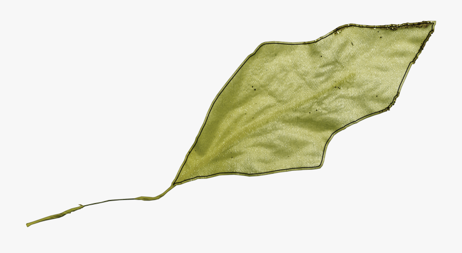 Clip Art Green Design Diamond Transprent - Sketch, Transparent Clipart