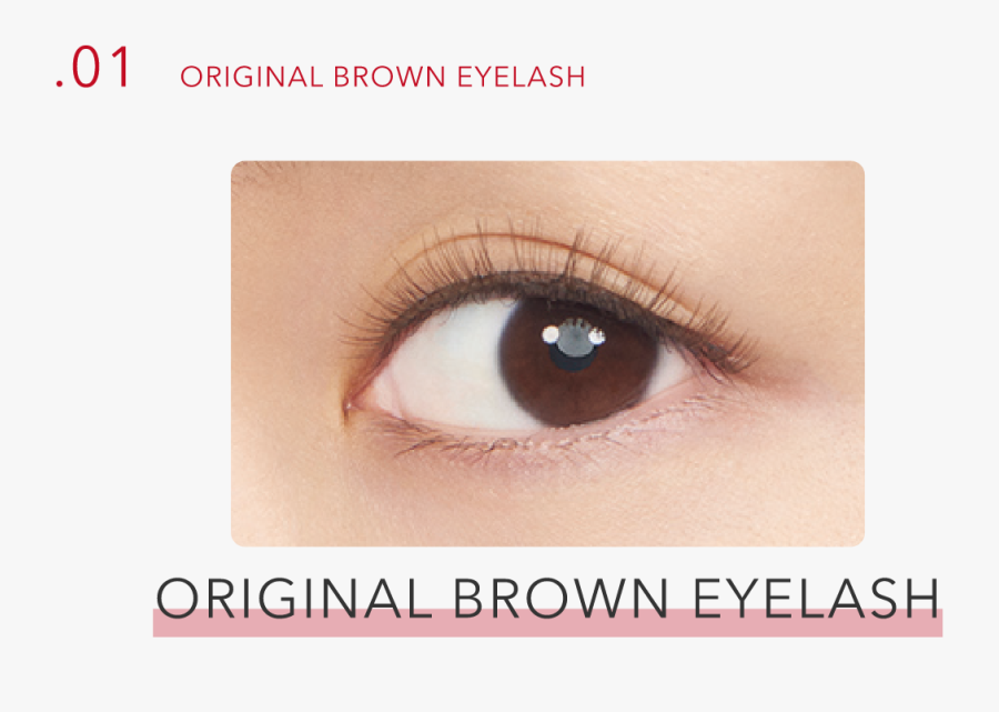 01 Original Brown Eyelash, Transparent Clipart