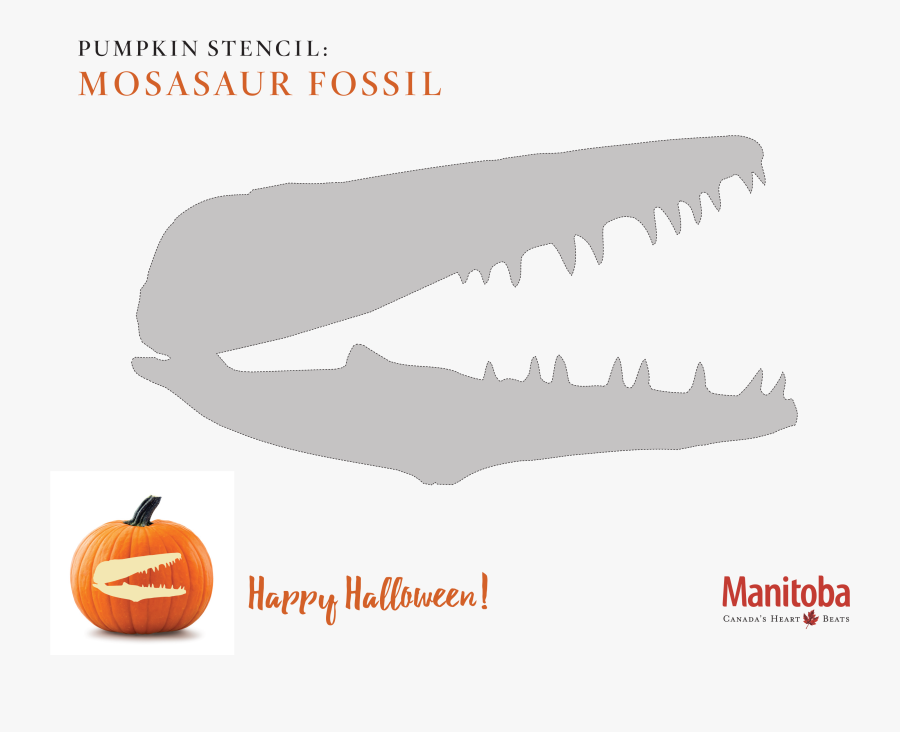 Mosasaur Fossil Pumpkin Carving Stencil - Mosasaurus Pumpkin Carving, Transparent Clipart