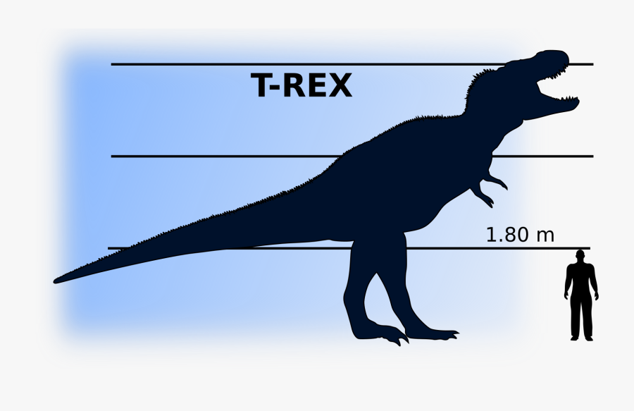 Tyrannosaurus Rex Vs Man, Transparent Clipart