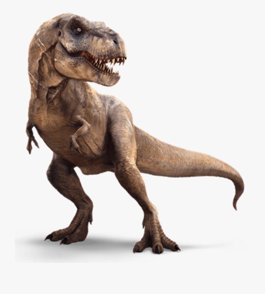 Transparent Tyrannosaurus Rex Png - T Rex Transparent Background , Free ...