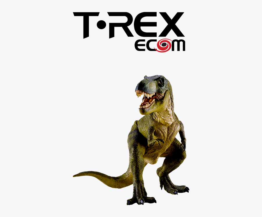 T Rex Clipart Easy - Tyrannosaurus, Transparent Clipart