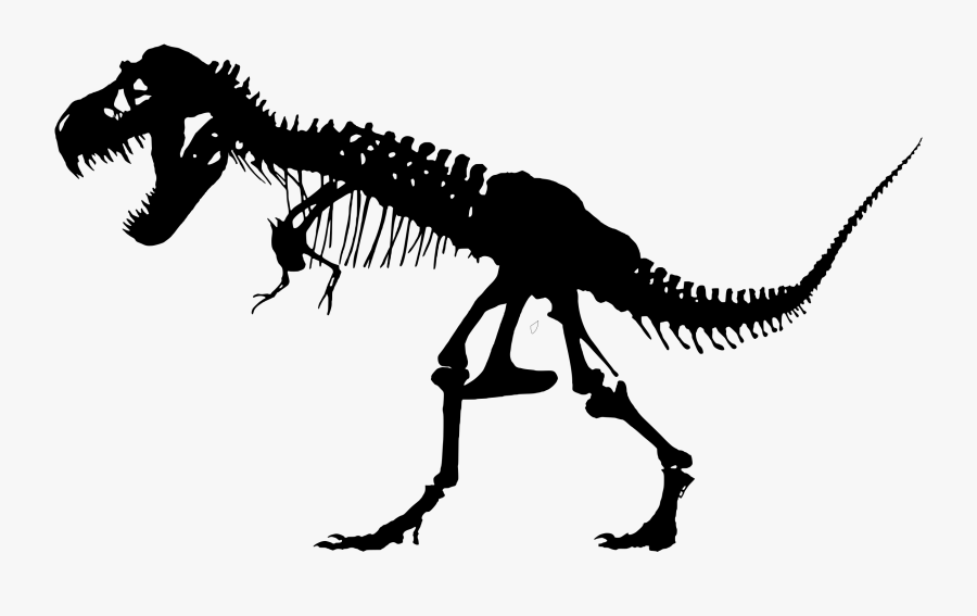 T-rex Skeleton - T Rex Skeleton Clipart, Transparent Clipart