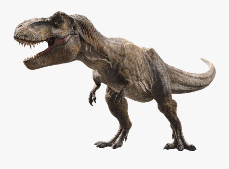 Clip Art Pathfinder Tyrannosaurus - Jurassic Park T Rex Png, Transparent Clipart