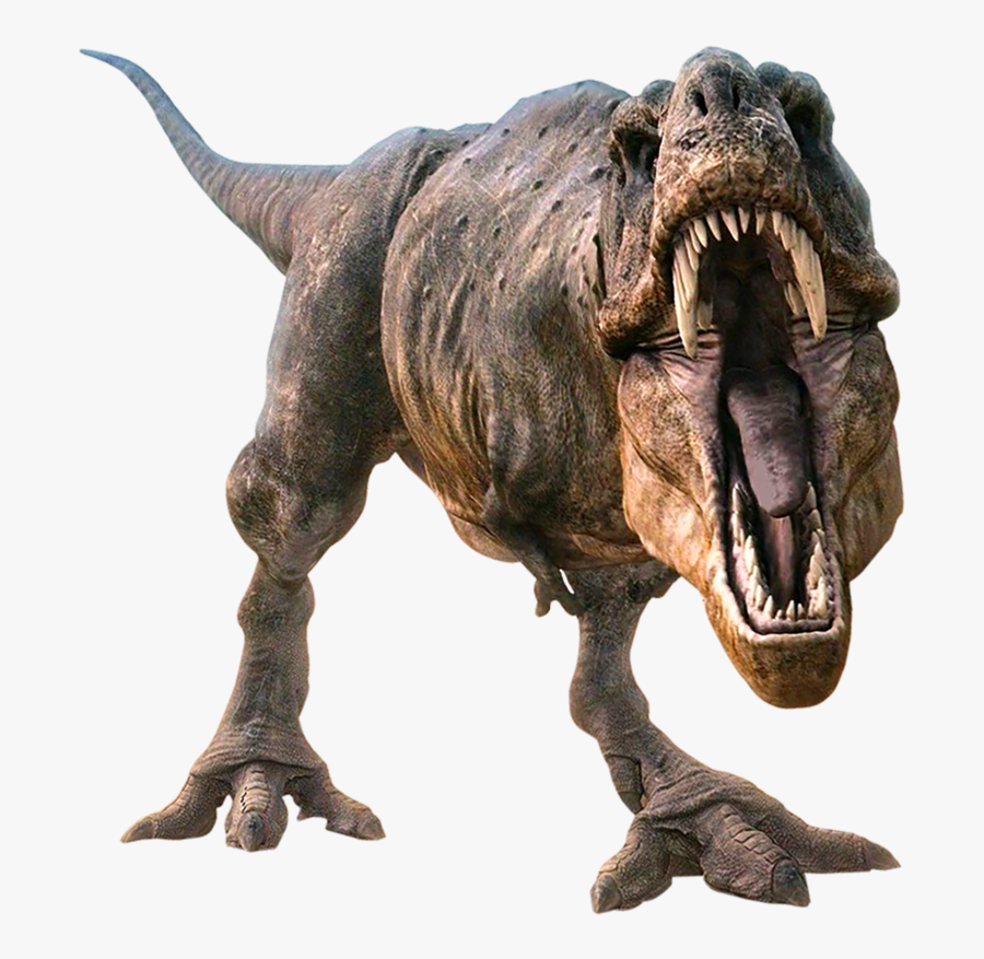 gambar tyrannosaurus