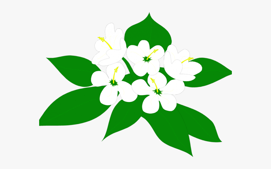 Black And White Flowers Clipart - Sampaguita Clipart, Transparent Clipart