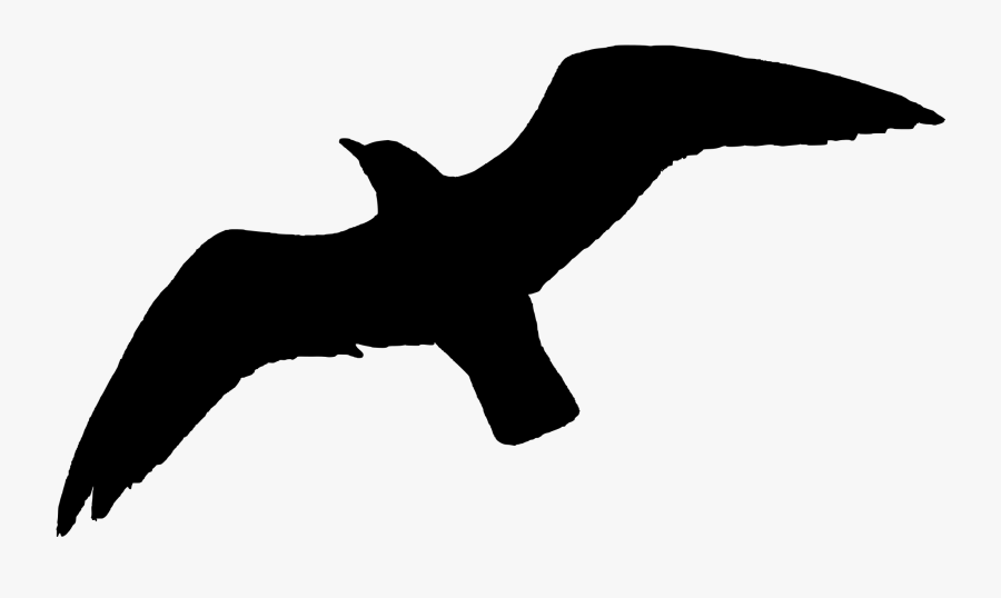 Filered Billed Gull In Flight Silhouette - Bird Silhouette Flying Png, Transparent Clipart
