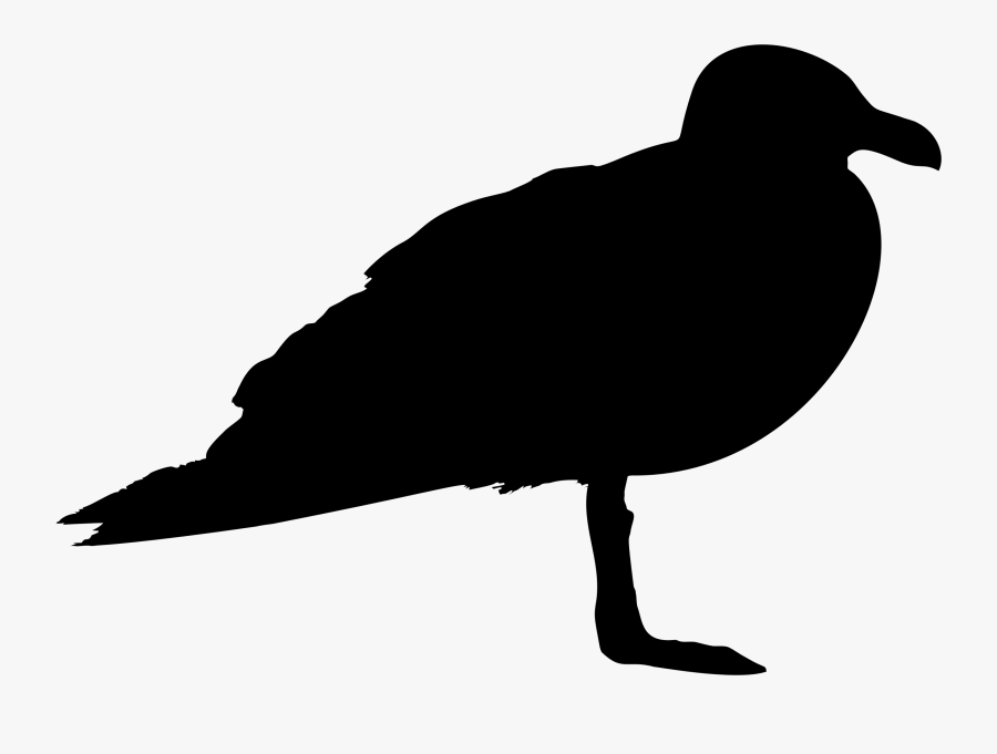 Photography - Silhouette Of A Seagull, Transparent Clipart