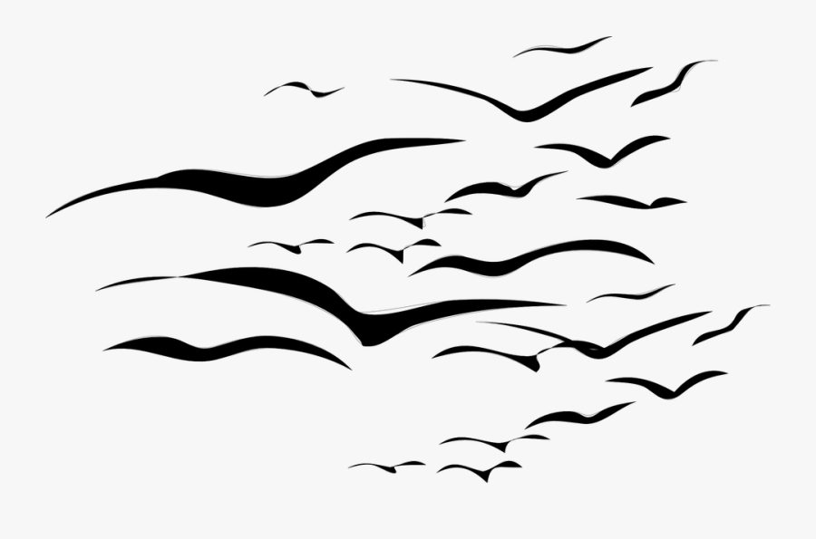 Flock Of Birds Clipart Seagull - Cartoon Flock Of Birds, Transparent Clipart