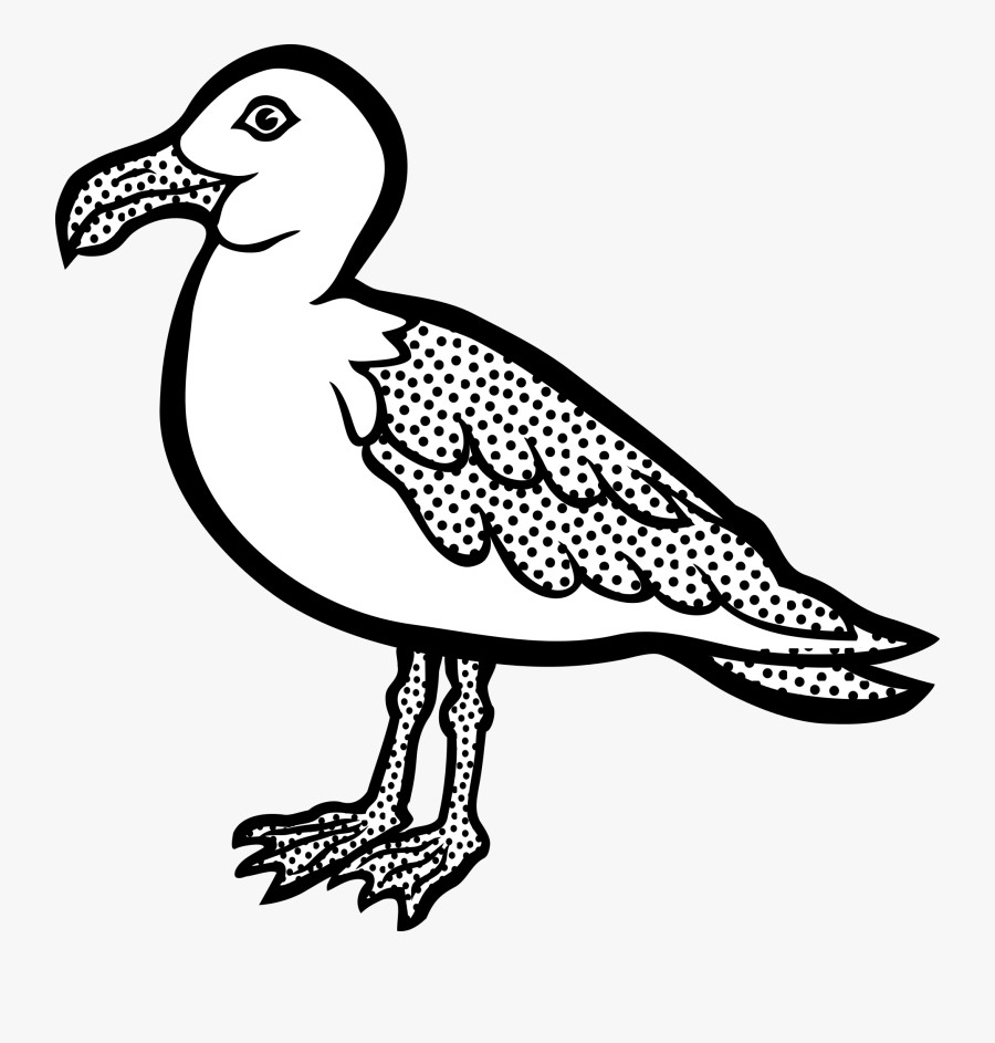 Clip Seagulls Drawing Black And White - Möwe Clipart, Transparent Clipart