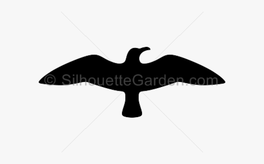 Seagull Clipart Fly Away - Golden Eagle, Transparent Clipart