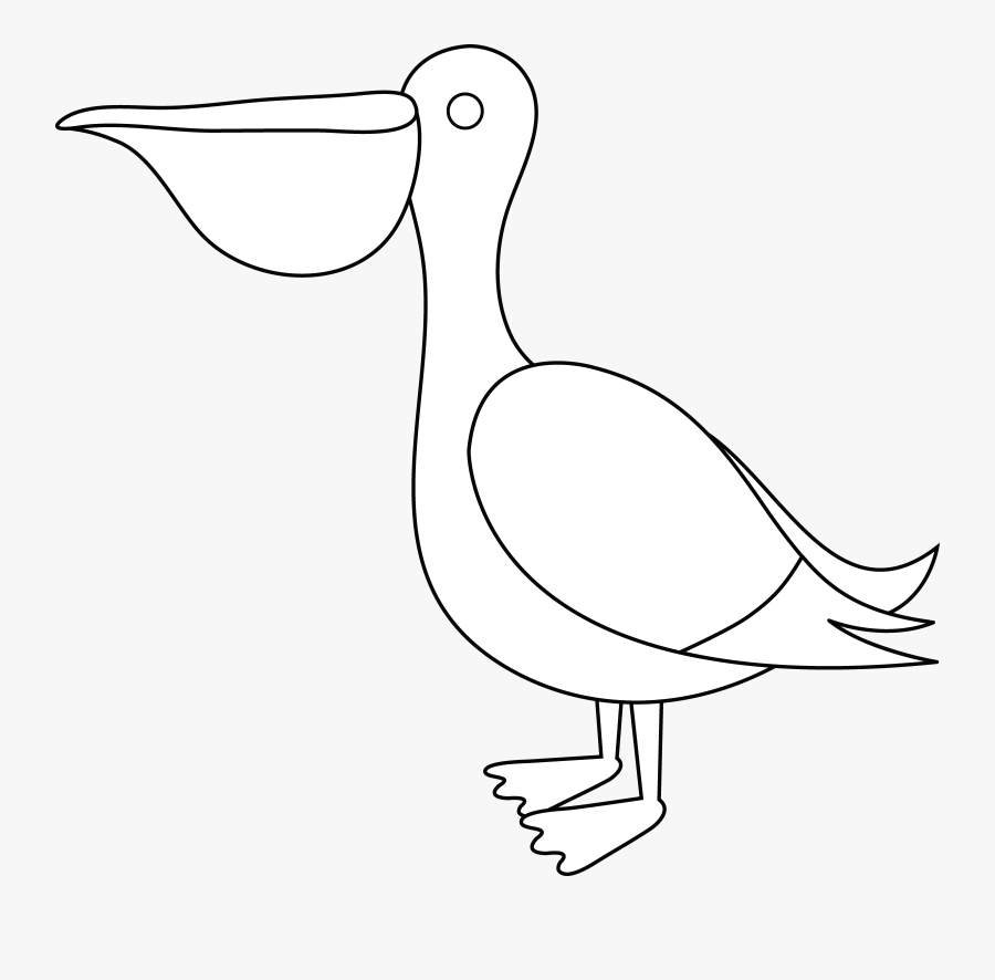 Pelican Clipart Black And White - Water Bird, Transparent Clipart