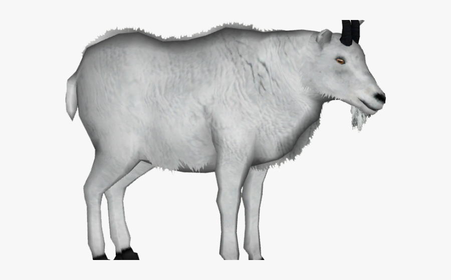 Mountain Goat Clipart Male Goat - Mountain Goat Transparent Background, Transparent Clipart