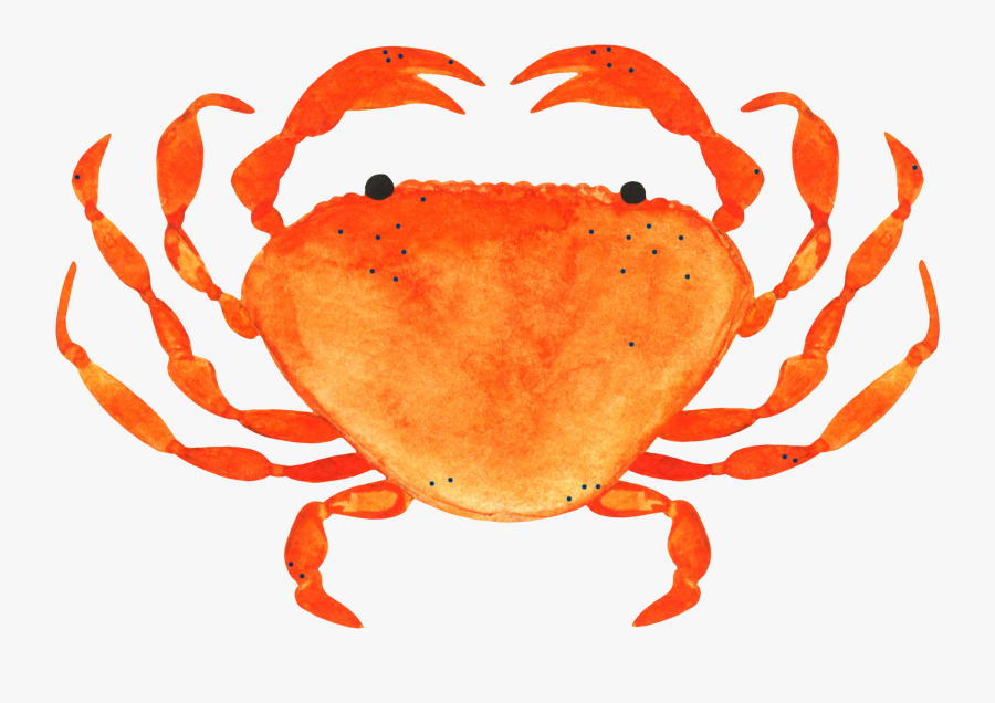 Crabs Clipart Crab Feed Transparent, Transparent Clipart