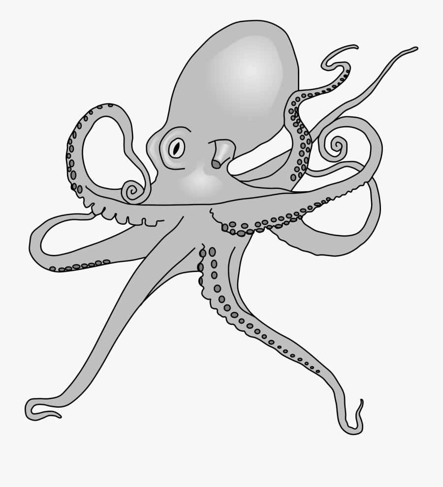 Octopus Sp Drawing, Transparent Clipart
