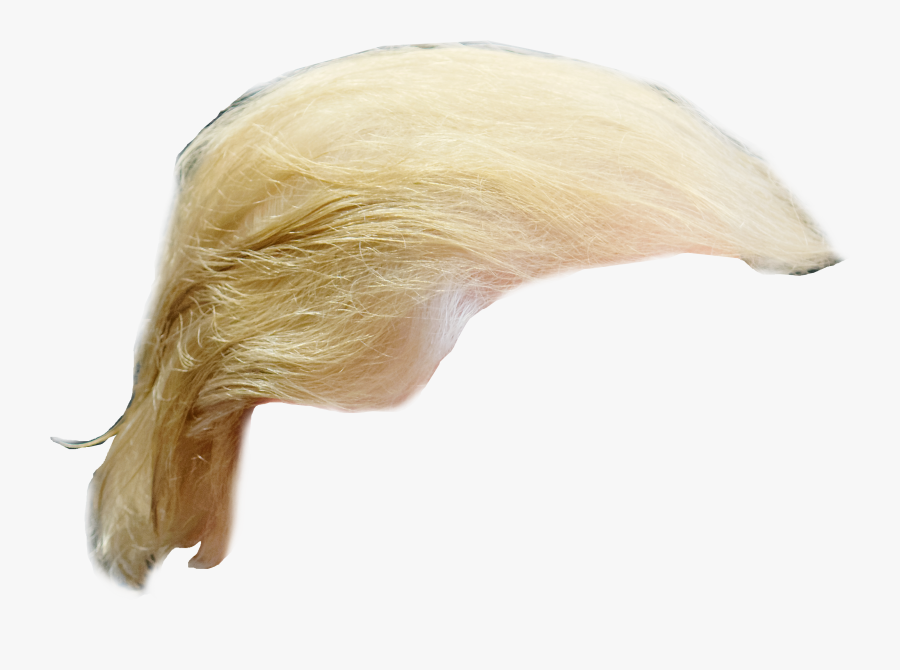 Trumps Hair Png - Trump Hair Png, Transparent Clipart