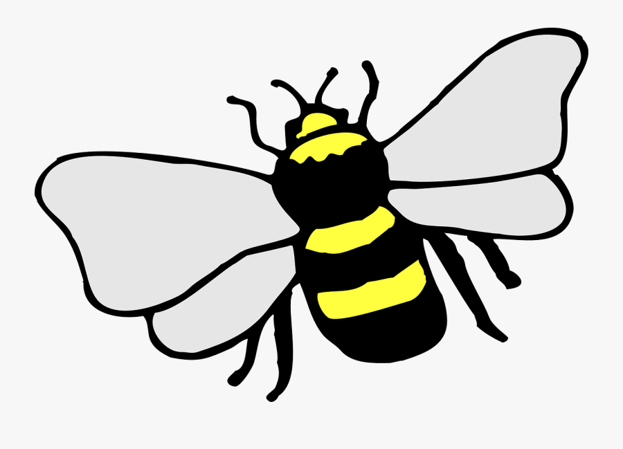 Transparent Bumblebee Insect Clipart Simple Bee Drawing Transparent Free Transparent Clipart Clipartkey