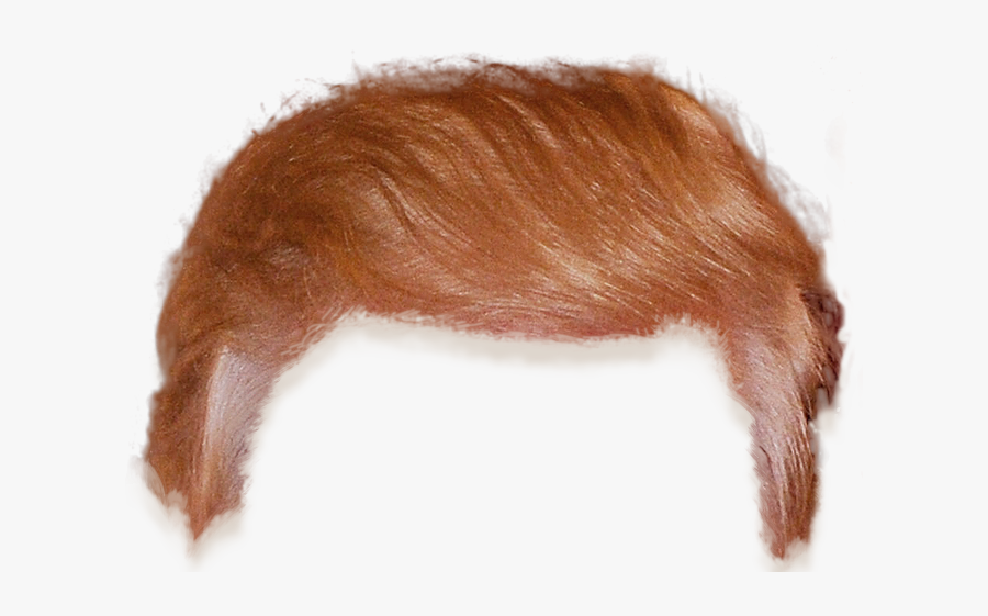 Donald Trump Hair Png Images Transparent Png - Donald Trump Hair Transparent, Transparent Clipart