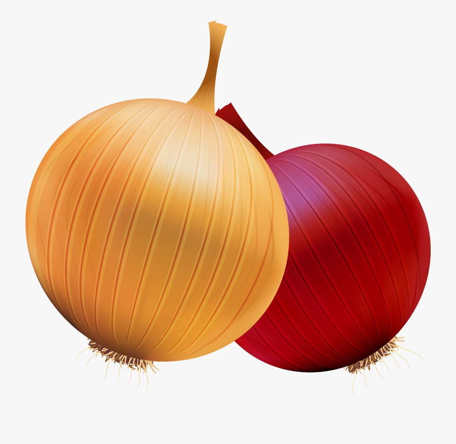 Onion And Red Onion Png Clipart - Onion Clipart Png, Transparent Clipart