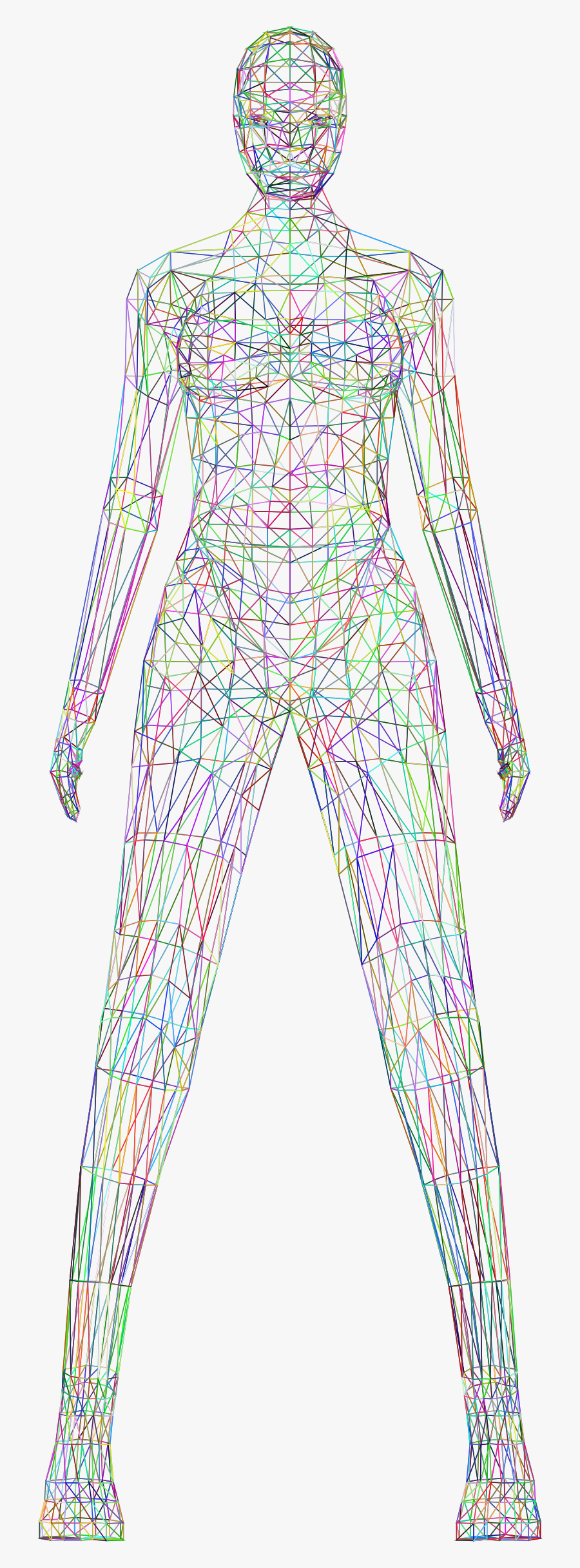 Low Poly Female Body Wireframe Prismatic Clip Arts - Body Wireframe Png, Transparent Clipart
