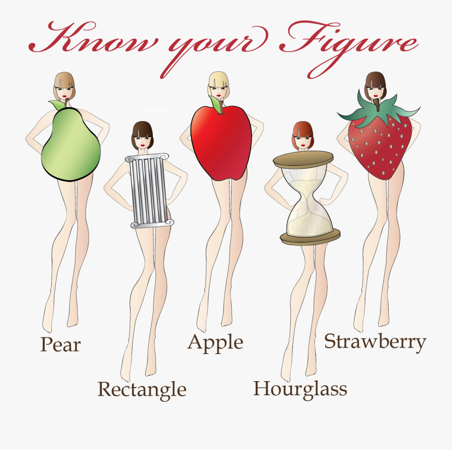 Clip Art How To Know Different - Different Type Body Shape, Transparent Clipart