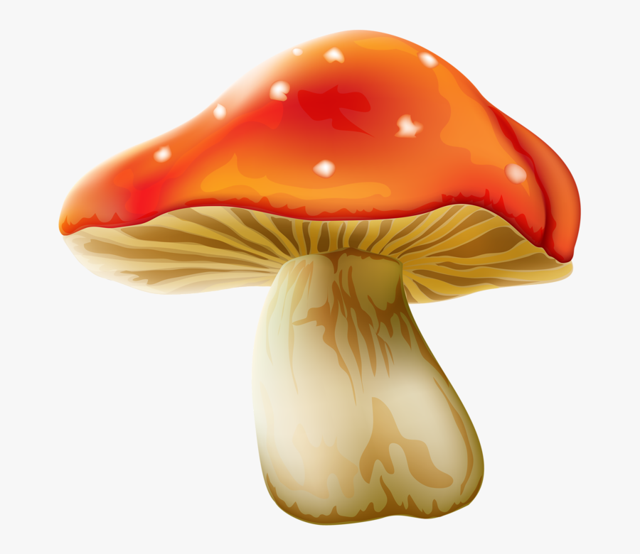 Transparent Background Mushroom Clipart, Transparent Clipart