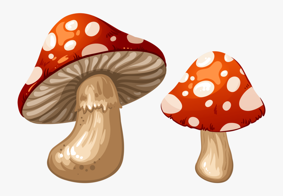Transparent Toadstools Clipart - Mushroom Clip Art, Transparent Clipart