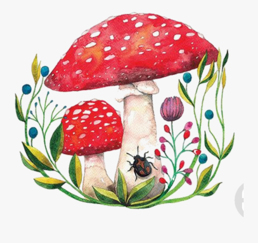 toadstool Colours In Mushrooms Drawings , Free Transparent Clipart