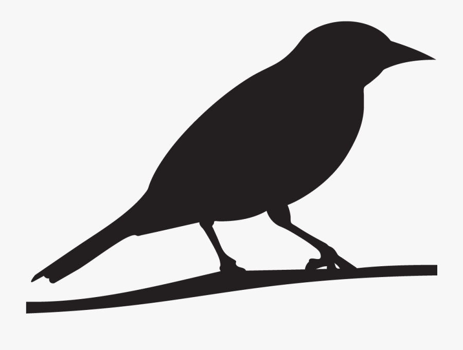 Baltimore Oriole Cornell Lab Of Ornithology All About - Oriole Bird Silhouette, Transparent Clipart