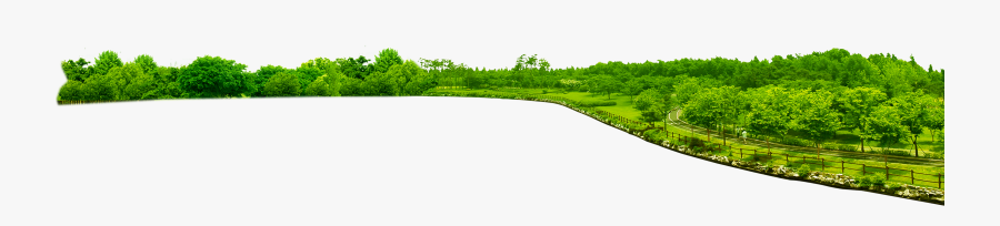 Park Png Transparent Image - Grass, Transparent Clipart