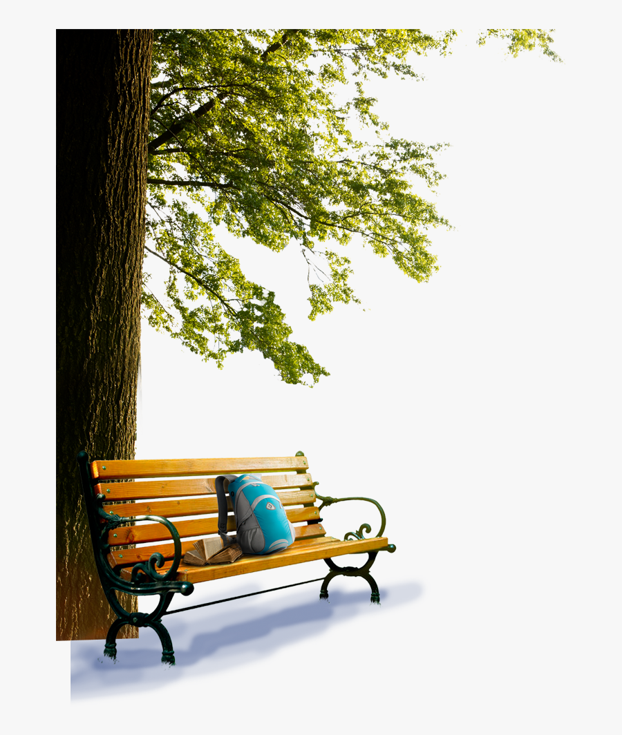 park png background bench wallpaper hd png free transparent clipart clipartkey park png background bench wallpaper