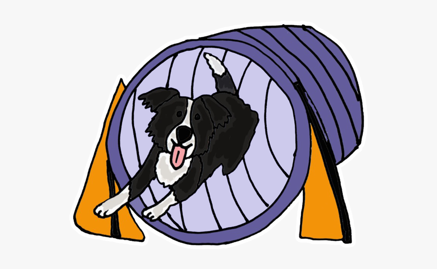 Border Collie Agility Cartoon, Transparent Clipart