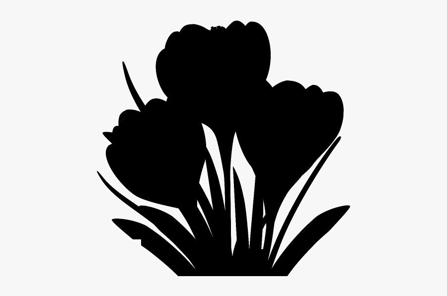 Crocus Flower Png Transparent Images - Illustration, Transparent Clipart