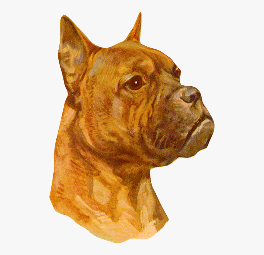 Companion Dog, Transparent Clipart