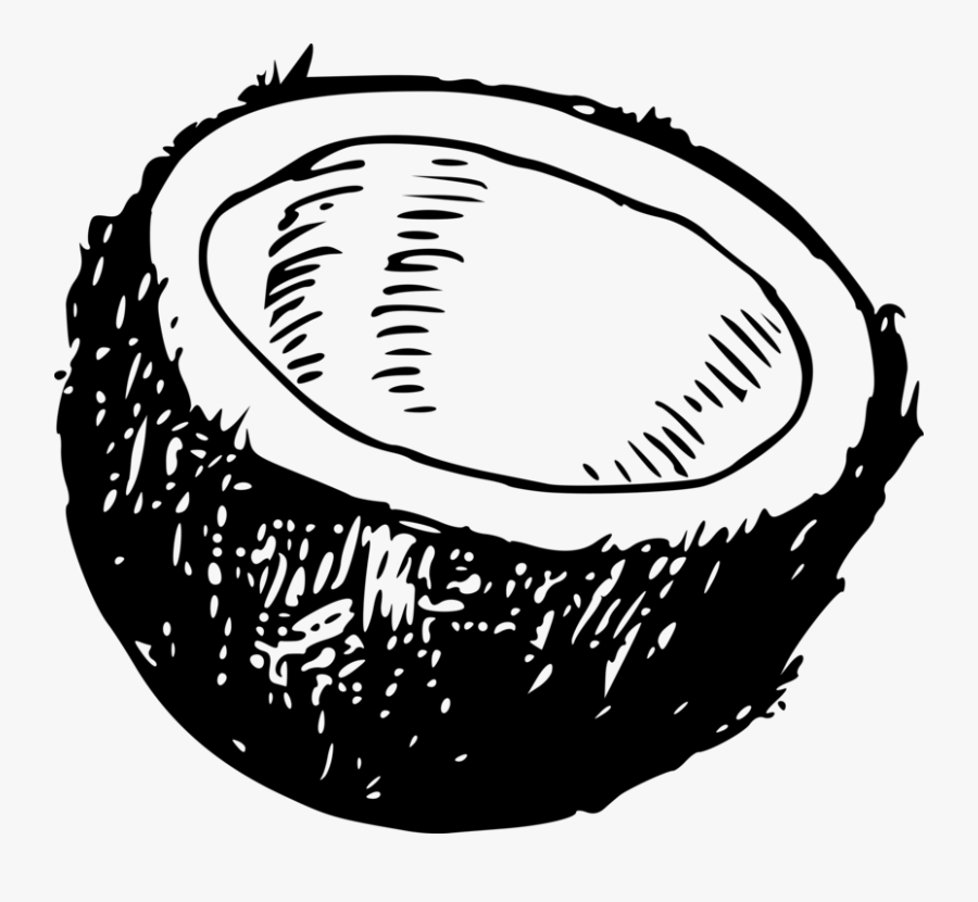 Coconut Clipart Diagram - Black And White Coconut, Transparent Clipart